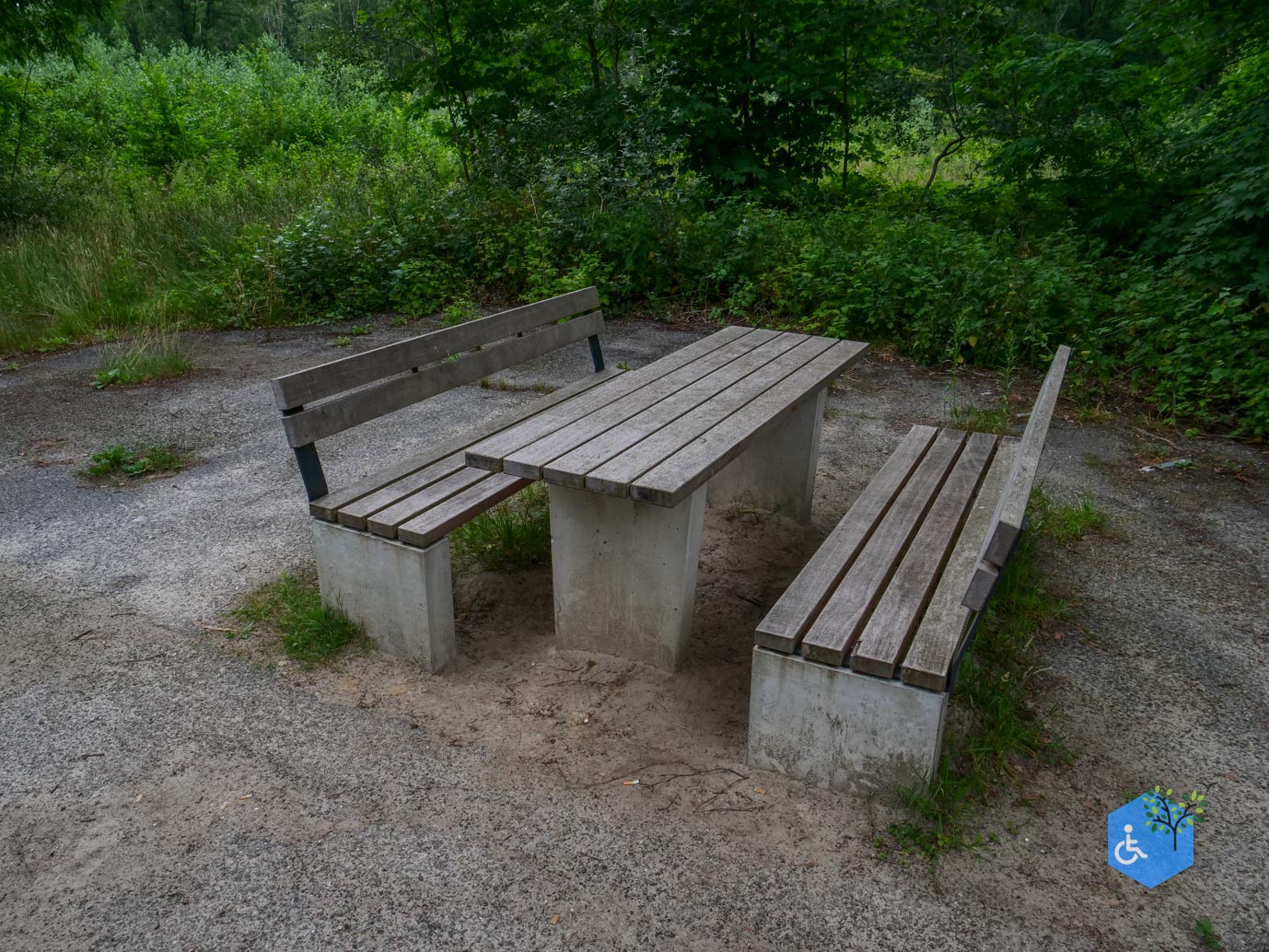Marknesse_Waterloopbos_06-07-2025-092