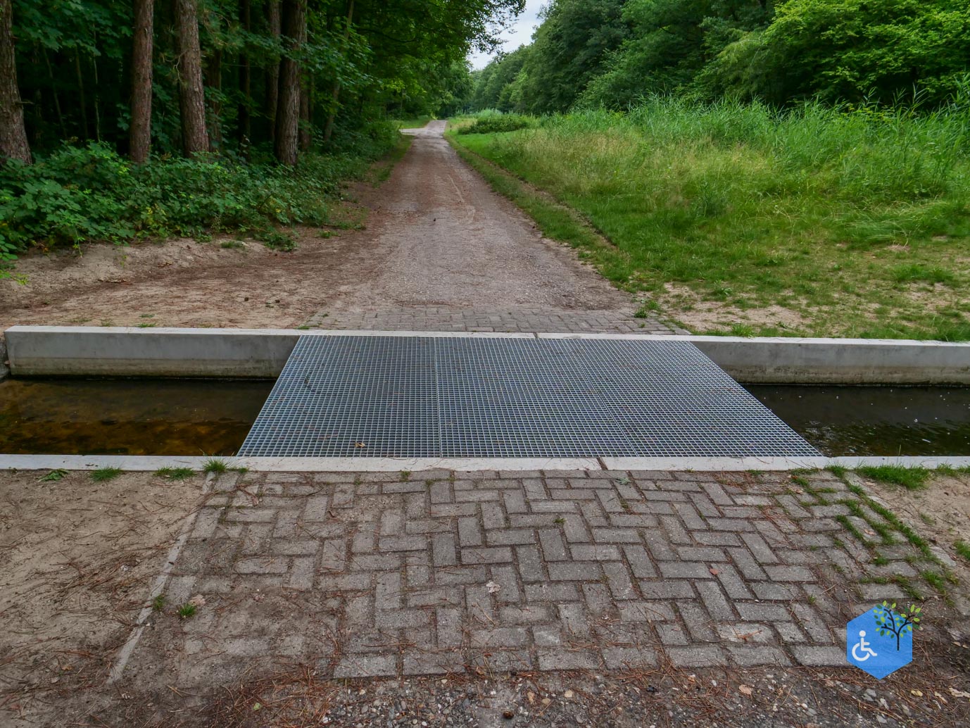 Marknesse_Waterloopbos_06-07-2025-097