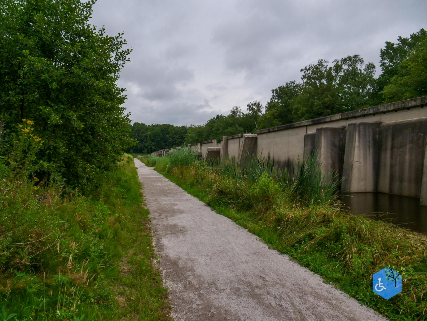 Marknesse_Waterloopbos_06-07-2025-110