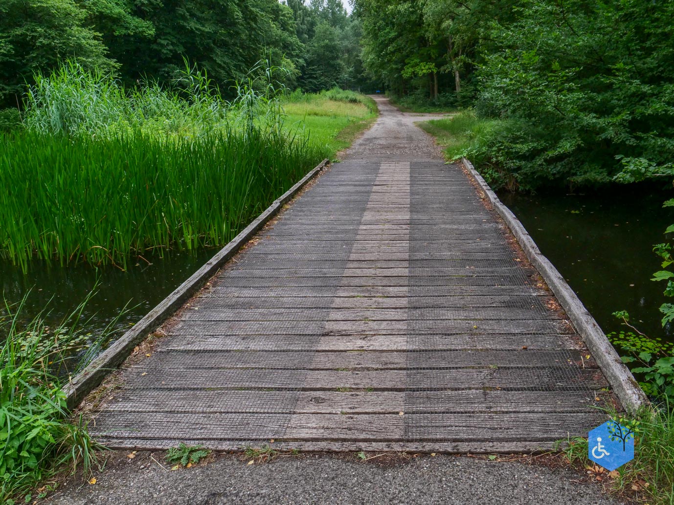 Marknesse_Waterloopbos_06-07-2025-111