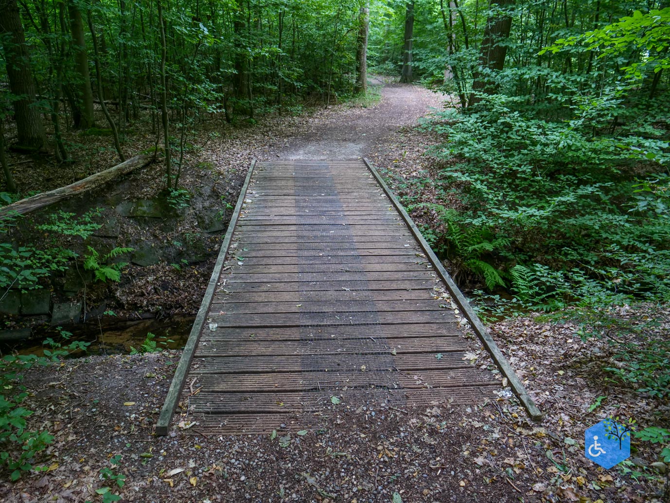 Marknesse_Waterloopbos_06-07-2025-112