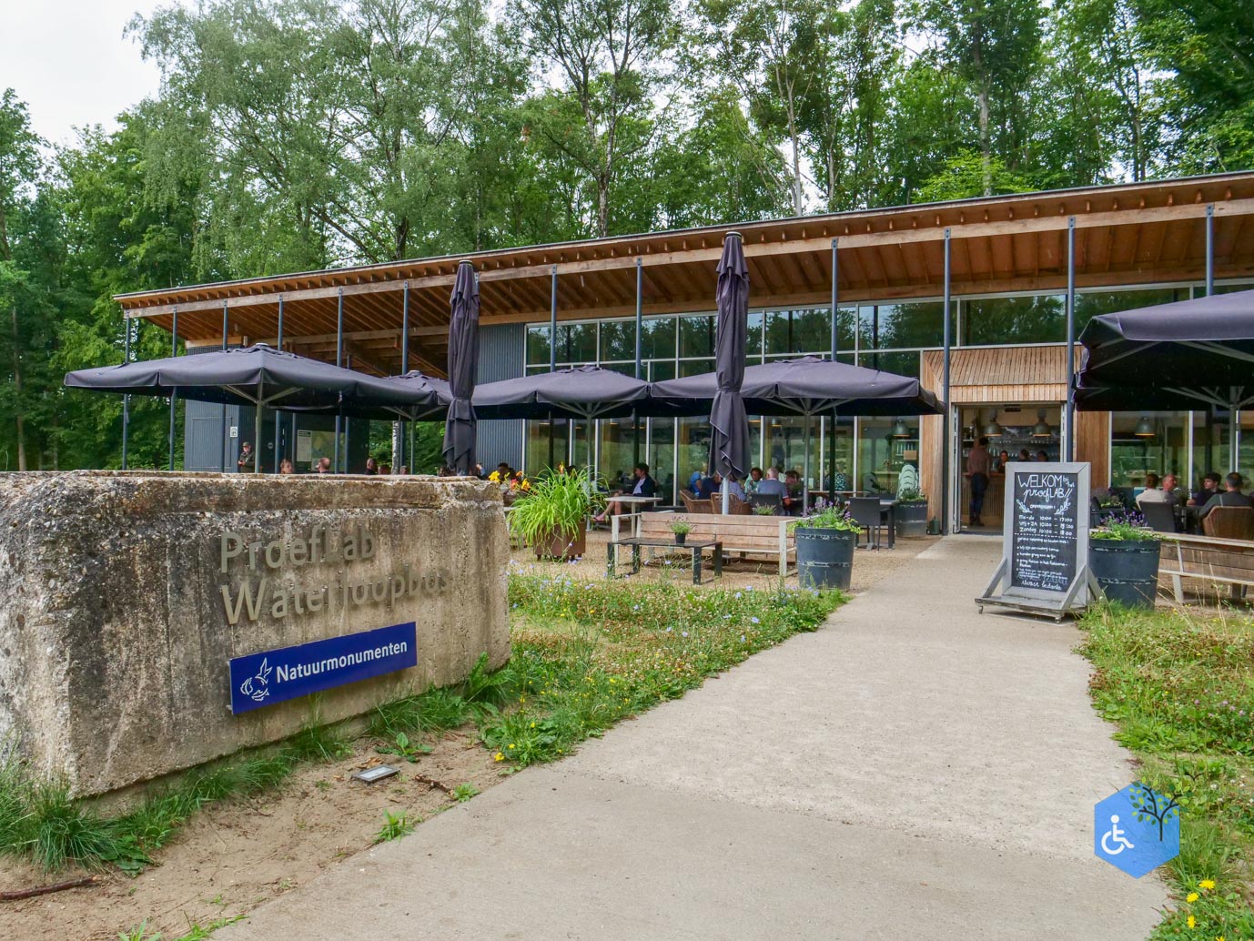 Marknesse_Waterloopbos_06-07-2025-121
