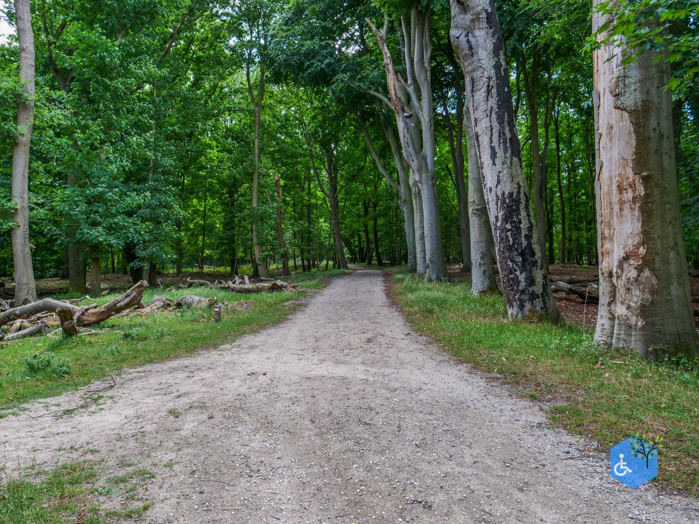 Vogelenzang_Amsterdamse_Waterleidingduinen_07-07-2025-06