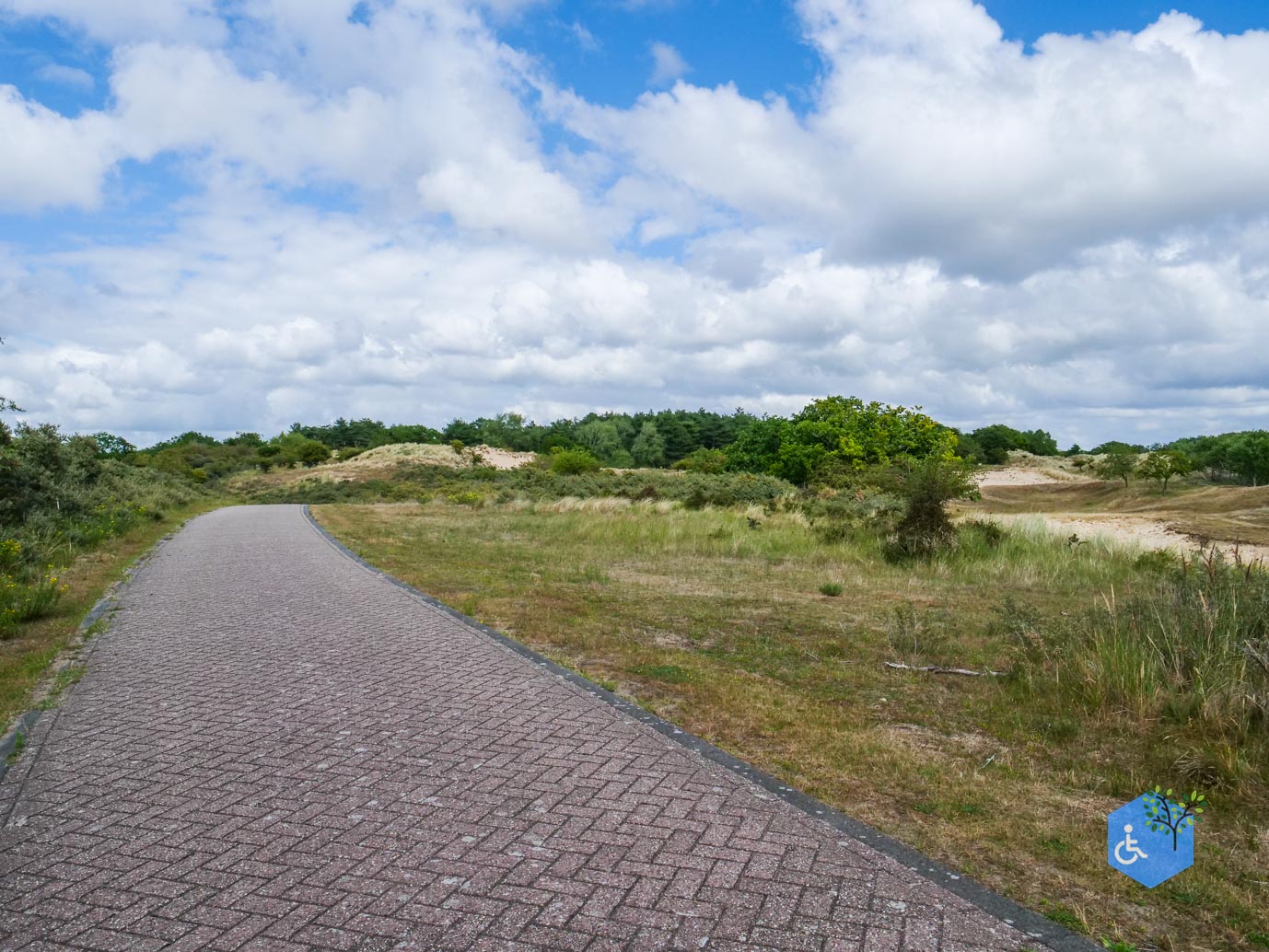 Vogelenzang_Amsterdamse_Waterleidingduinen_07-07-2025-33