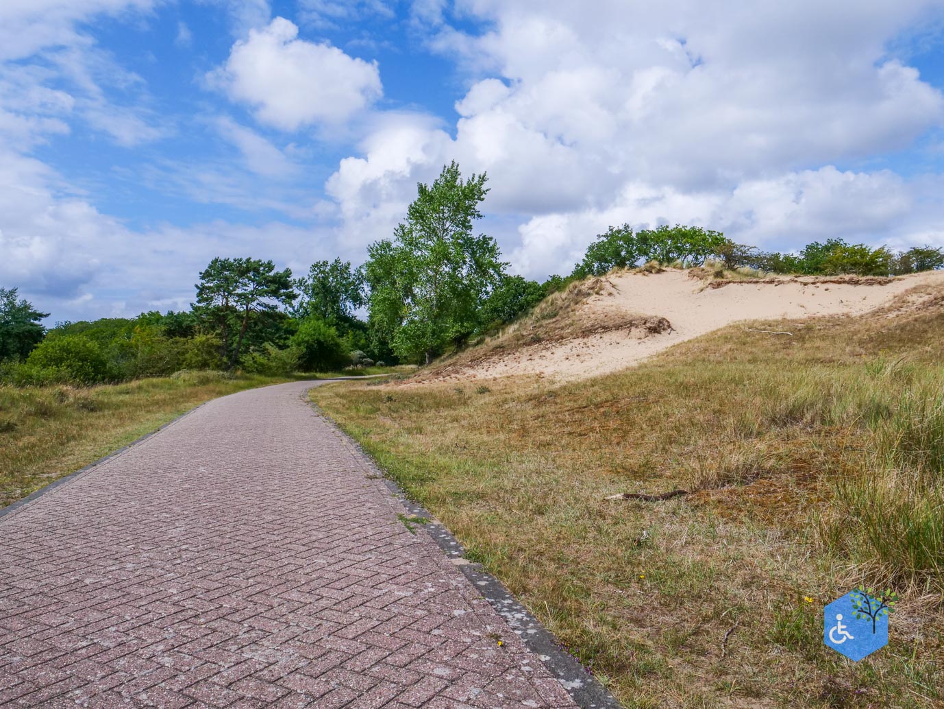 Vogelenzang_Amsterdamse_Waterleidingduinen_07-07-2025-36
