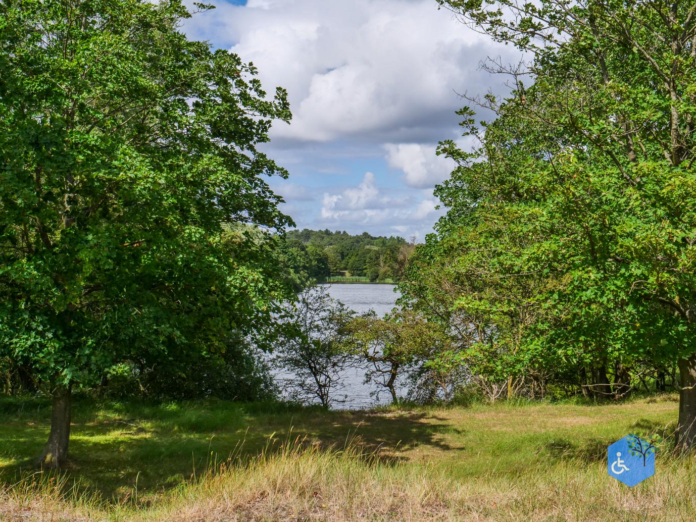Vogelenzang_Amsterdamse_Waterleidingduinen_07-07-2025-37