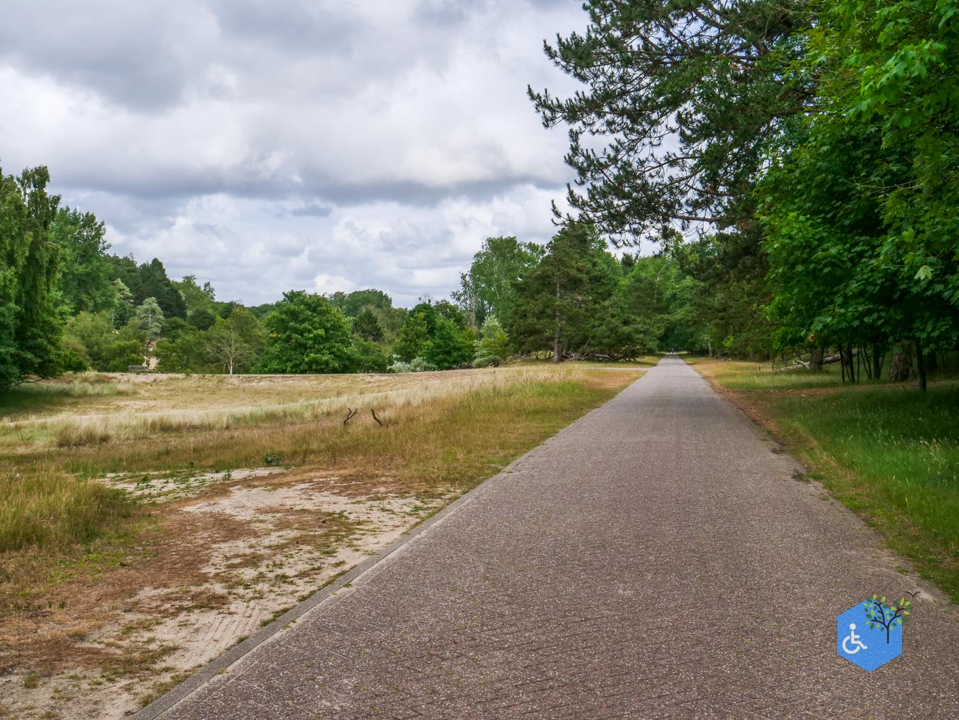 Vogelenzang_Amsterdamse_Waterleidingduinen_07-07-2025-50