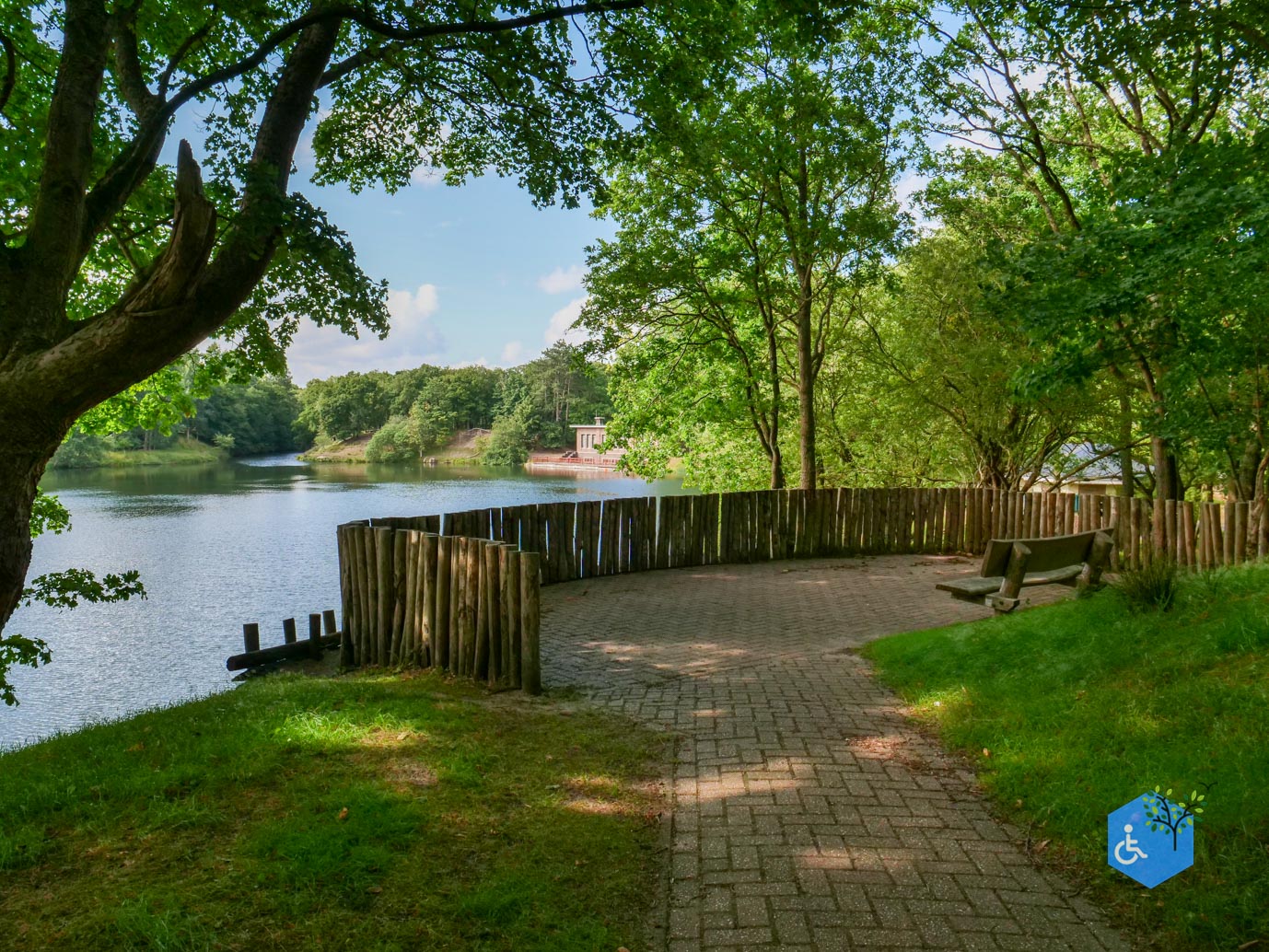 Vogelenzang_Amsterdamse_Waterleidingduinen_07-07-2025-60