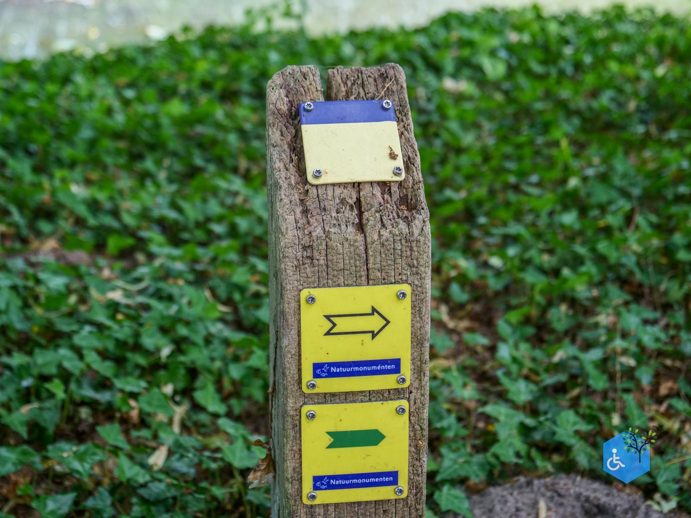 Vorden_Kasteelroute_Hackfort_04-07-2025-02
