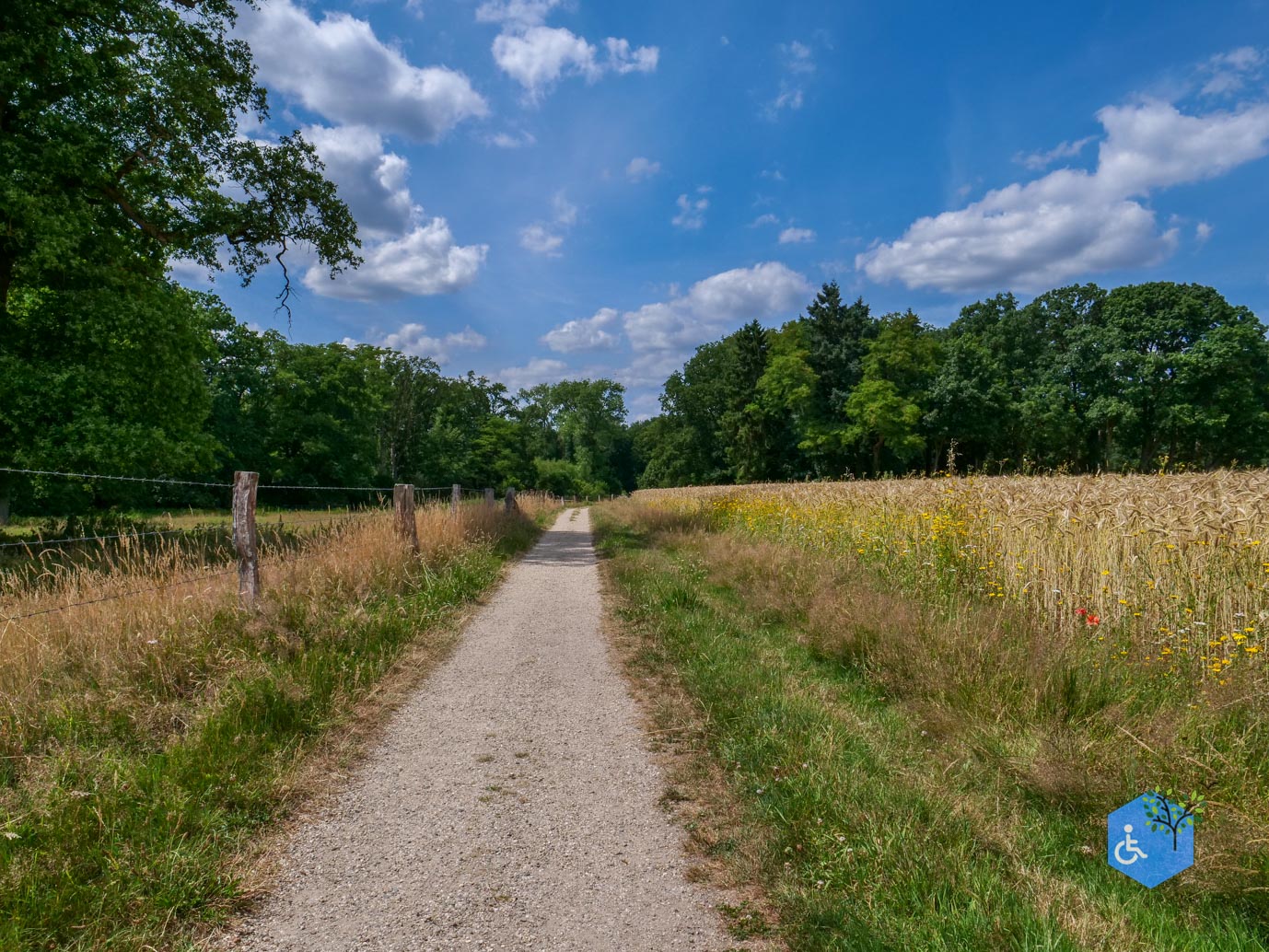 Vorden_Kasteelroute_Hackfort_04-07-2025-18