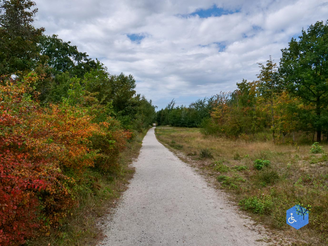 Rockanje_Libellenroute_30-08-2025-15