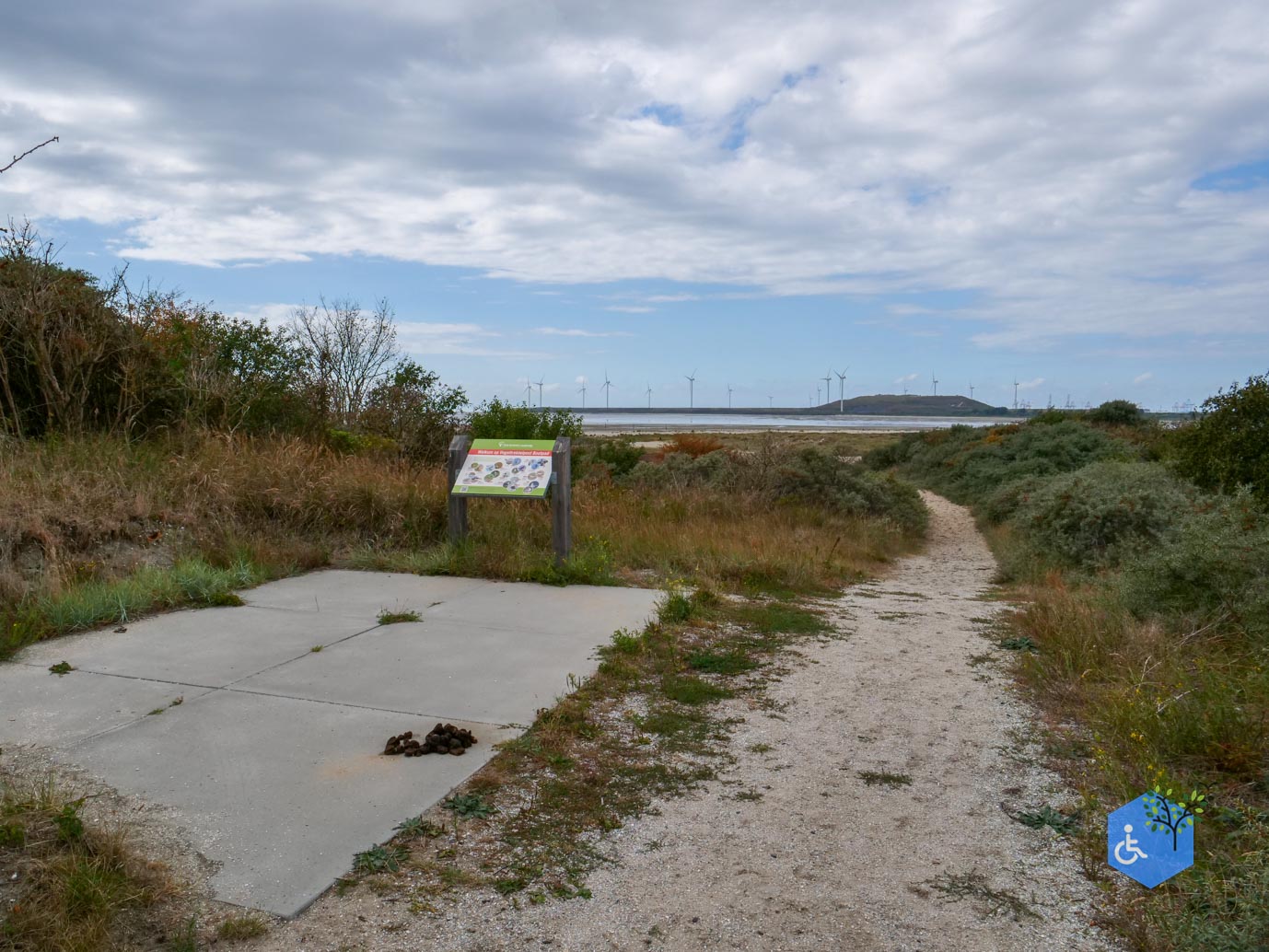 Rockanje_Libellenroute_30-08-2025-19
