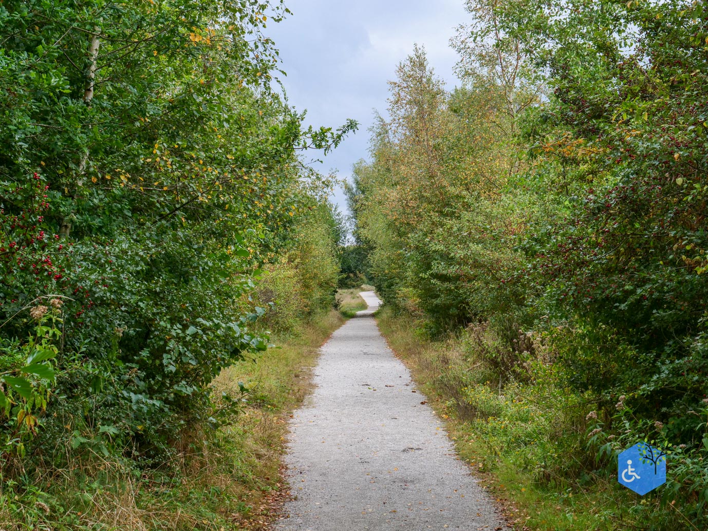 Rockanje_Libellenroute_30-08-2025-22