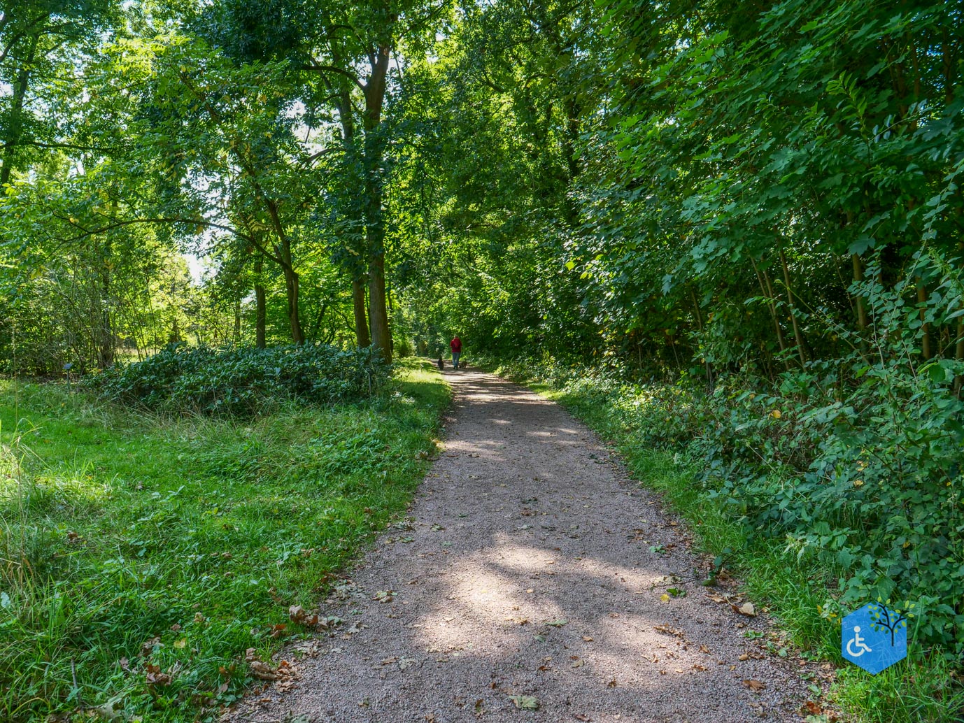 De_Lutte_Arboretum_Poort_Bulten_06-09-2025-11