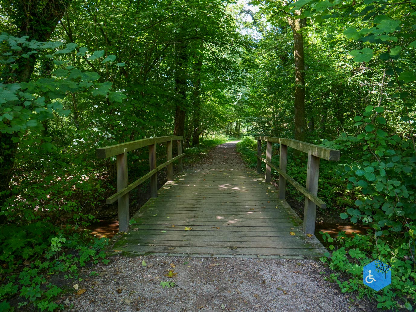 De_Lutte_Arboretum_Poort_Bulten_06-09-2025-13