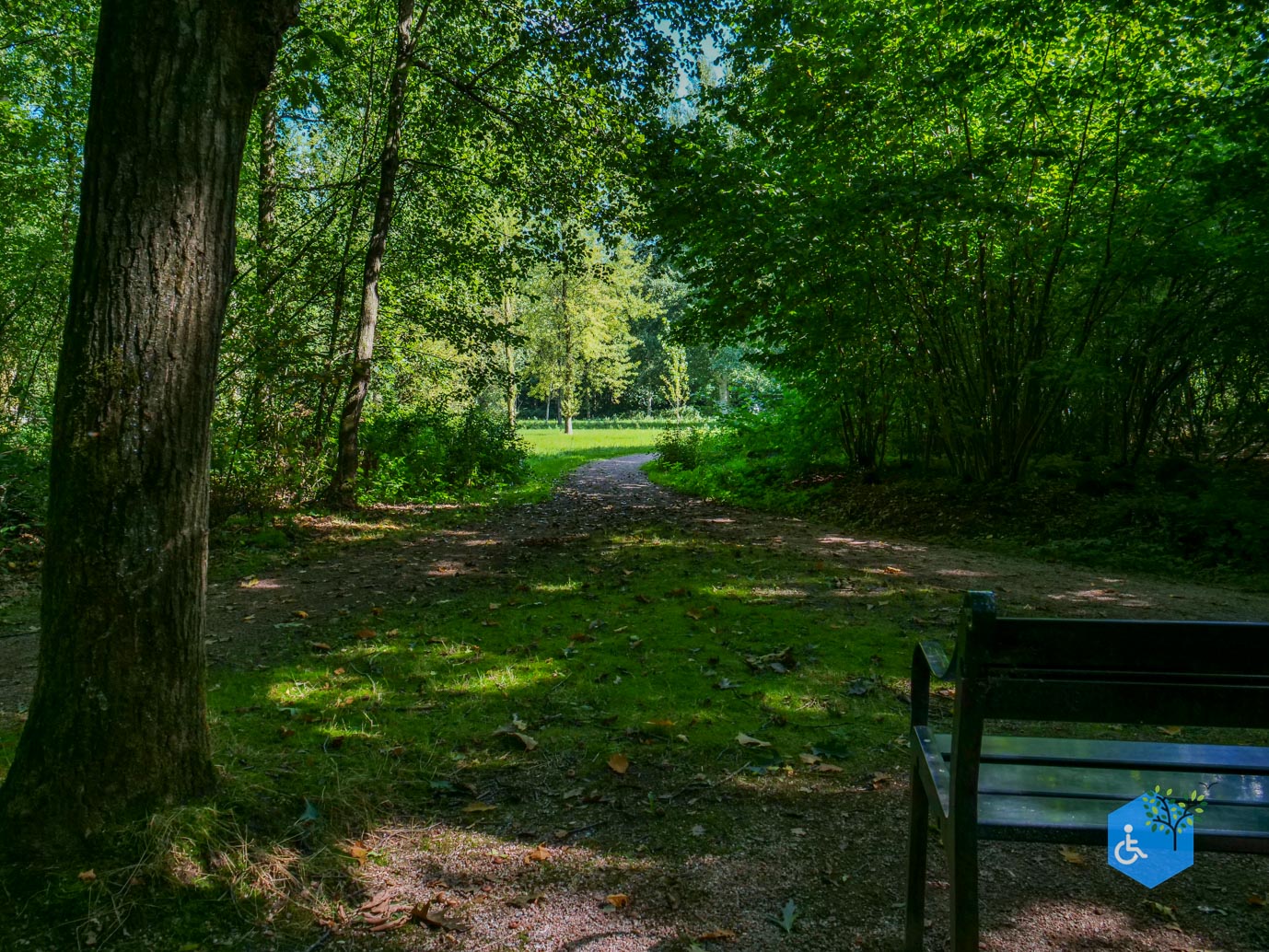 De_Lutte_Arboretum_Poort_Bulten_06-09-2025-14