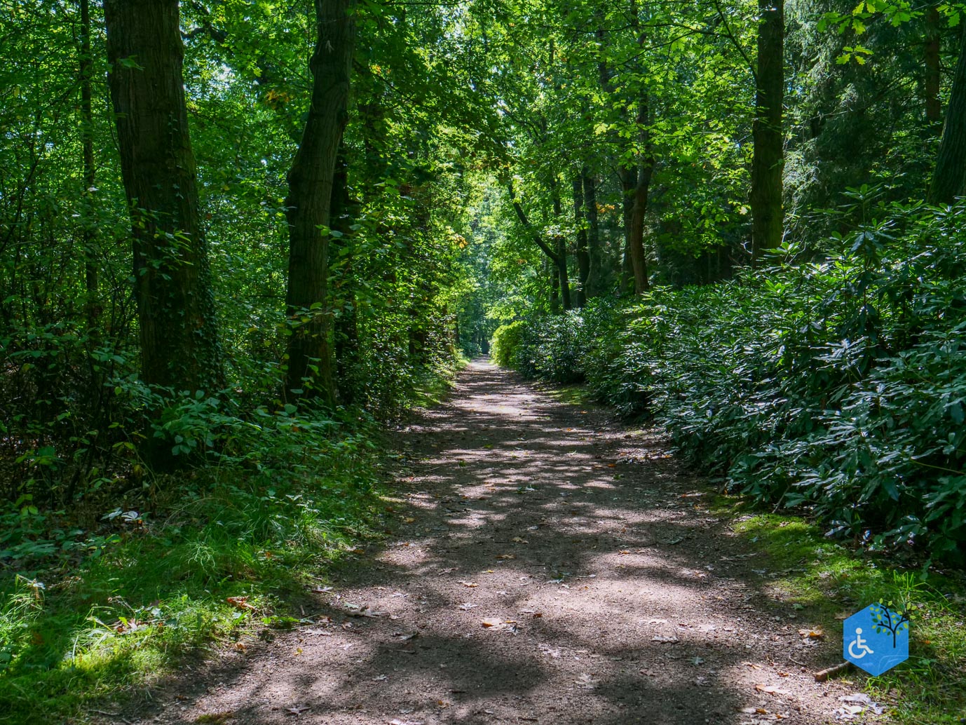 De_Lutte_Arboretum_Poort_Bulten_06-09-2025-15