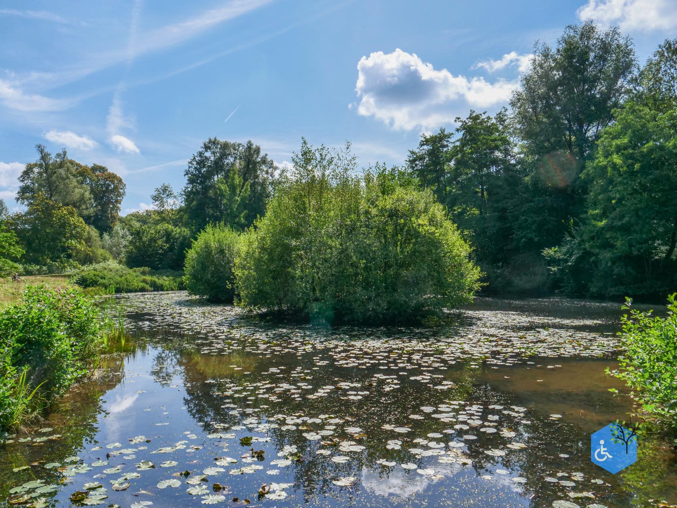 De_Lutte_Arboretum_Poort_Bulten_06-09-2025-22