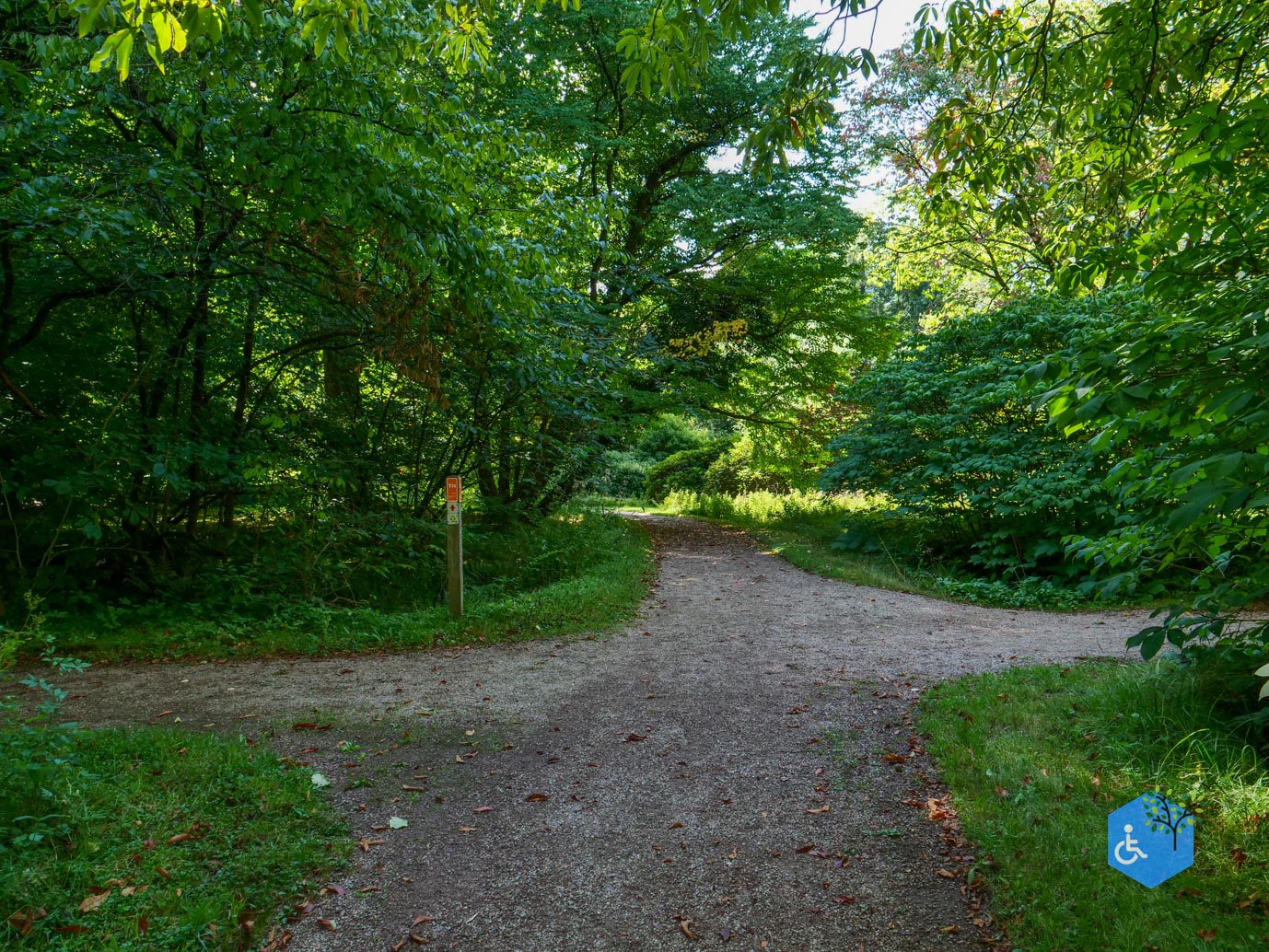 De_Lutte_Arboretum_Poort_Bulten_06-09-2025-29
