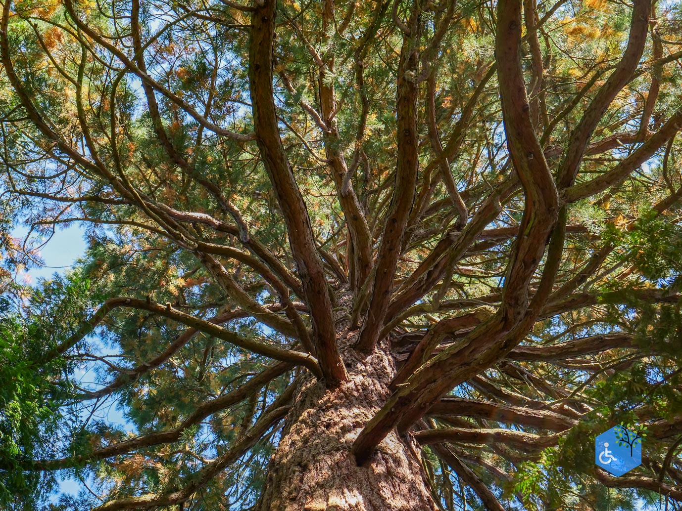 De_Lutte_Arboretum_Poort_Bulten_06-09-2025-32