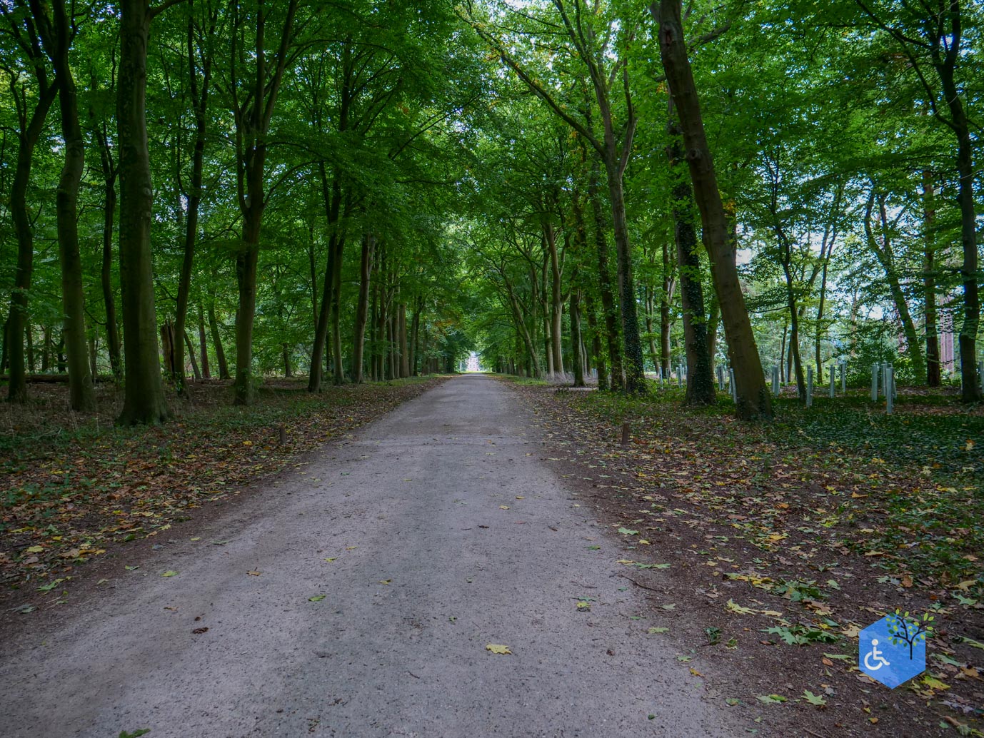 Doorn_Landgoed_Moersbergen_26-09-2025-06