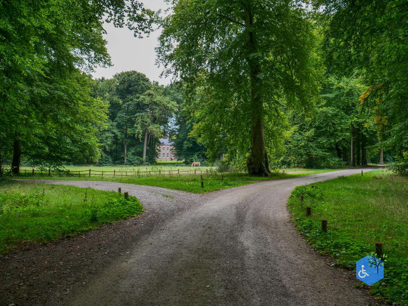 Doorn_Landgoed_Moersbergen_26-09-2025-08