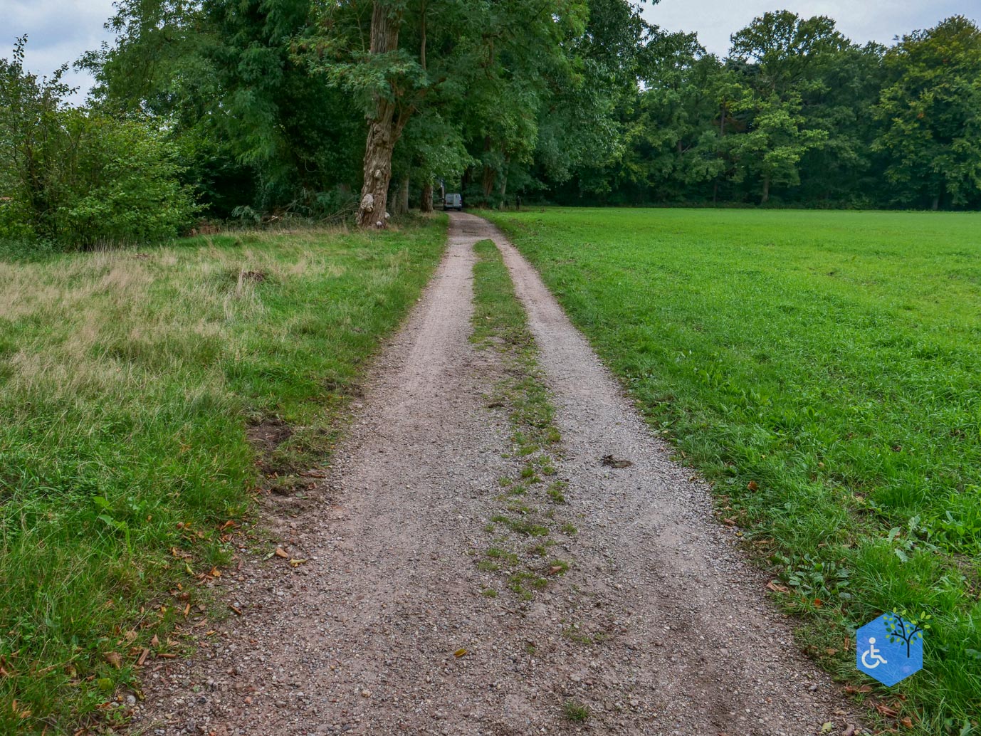 Doorn_Landgoed_Moersbergen_26-09-2025-11