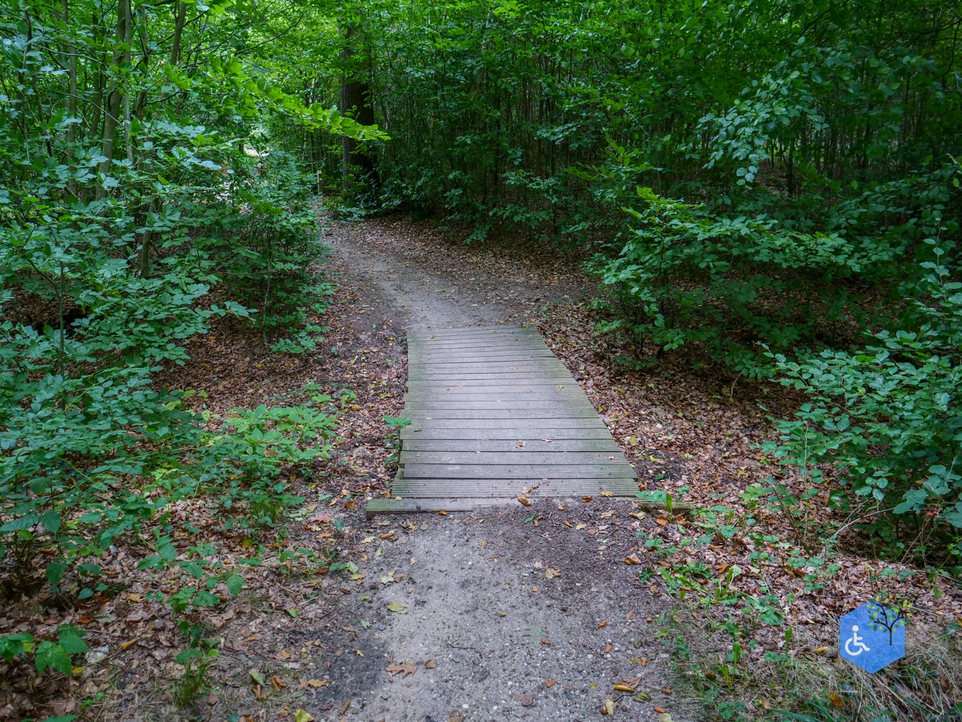 Doorn_Landgoed_Moersbergen_26-09-2025-12