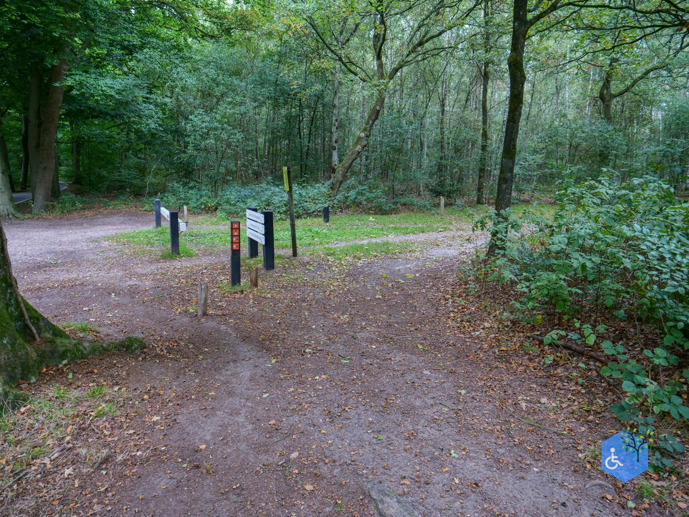 Doorn_Landgoed_Moersbergen_26-09-2025-16