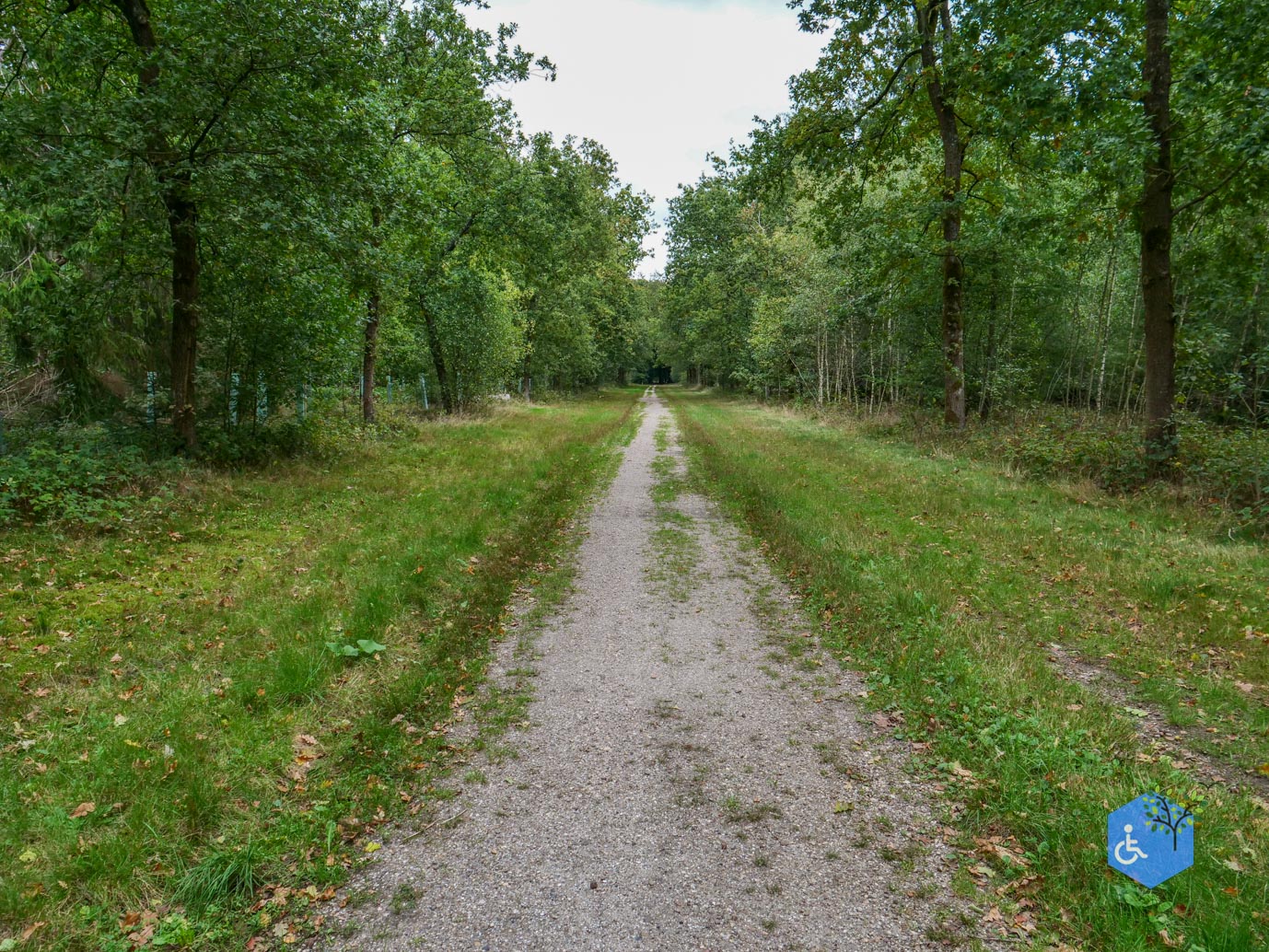 Doorn_Landgoed_Moersbergen_26-09-2025-20