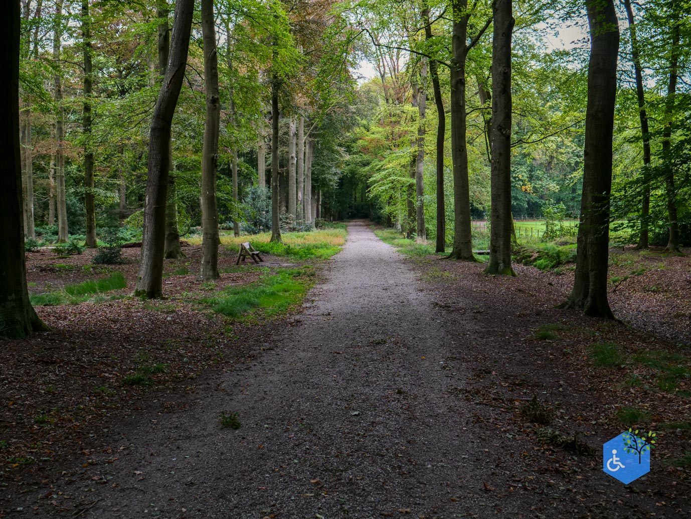 Doorn_Landgoed_Moersbergen_26-09-2025-22