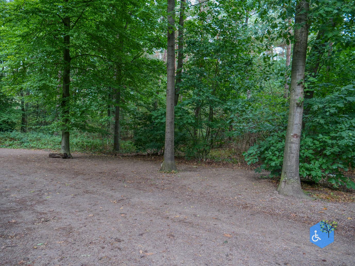 Driebergen_Heidetuin_11-09-2025-01