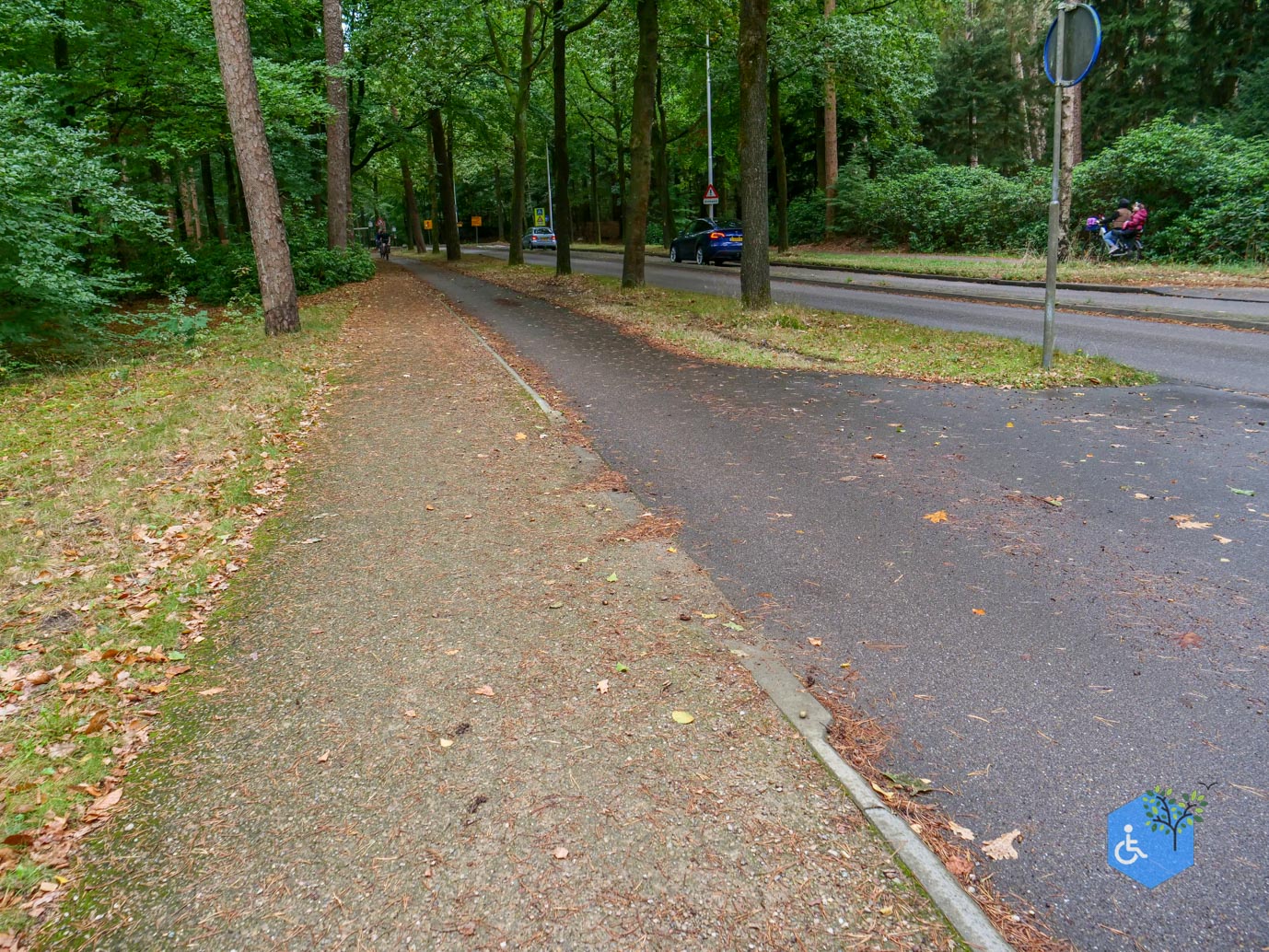Driebergen_Heidetuin_11-09-2025-04