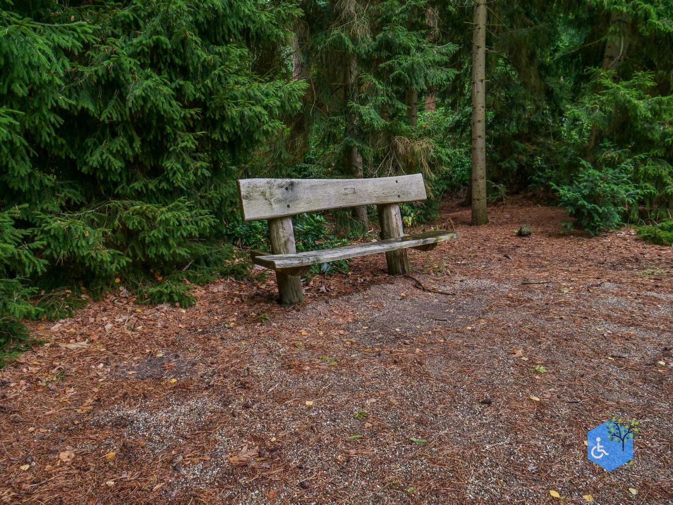 Driebergen_Heidetuin_11-09-2025-08