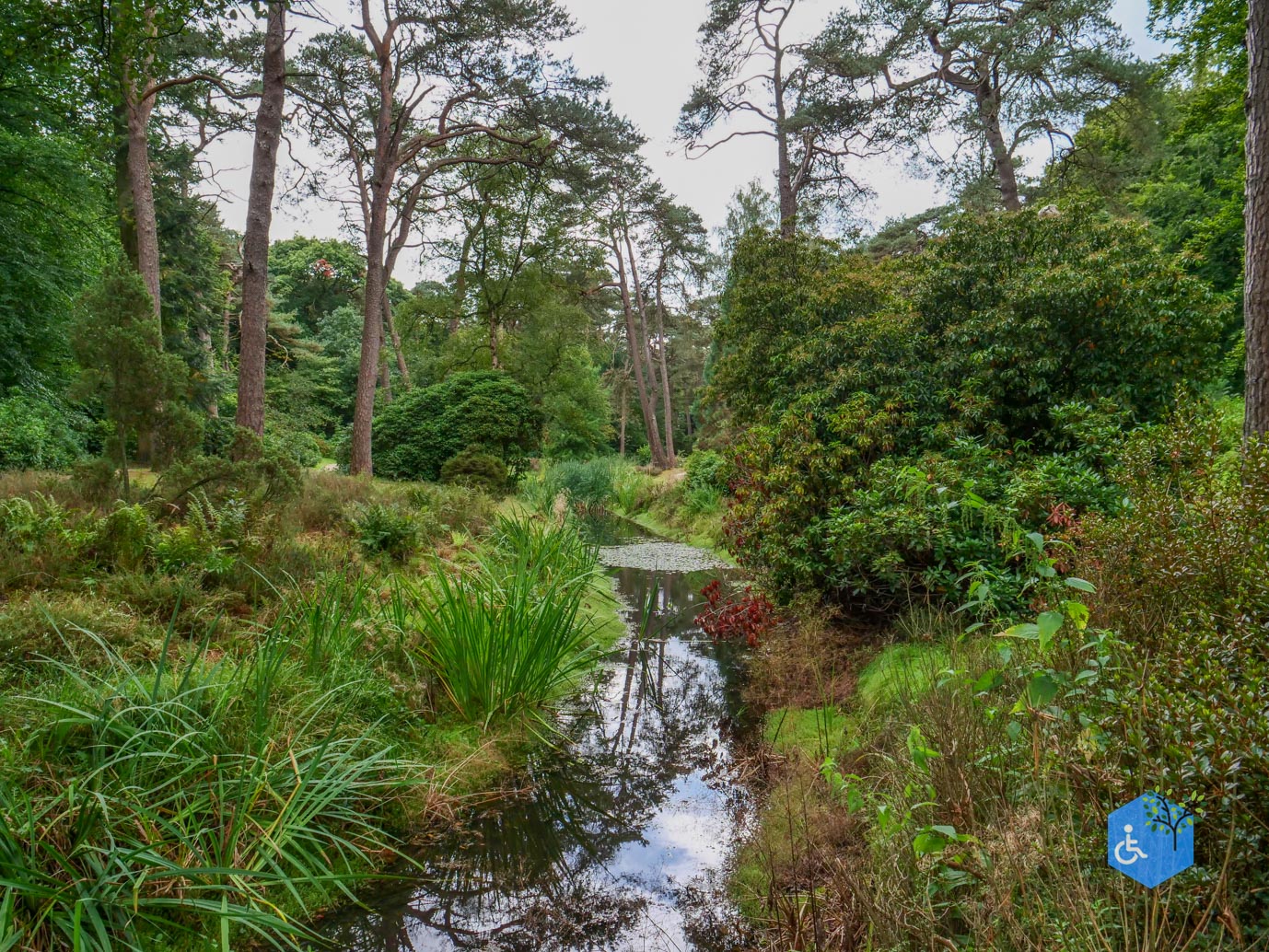 Driebergen_Heidetuin_11-09-2025-13
