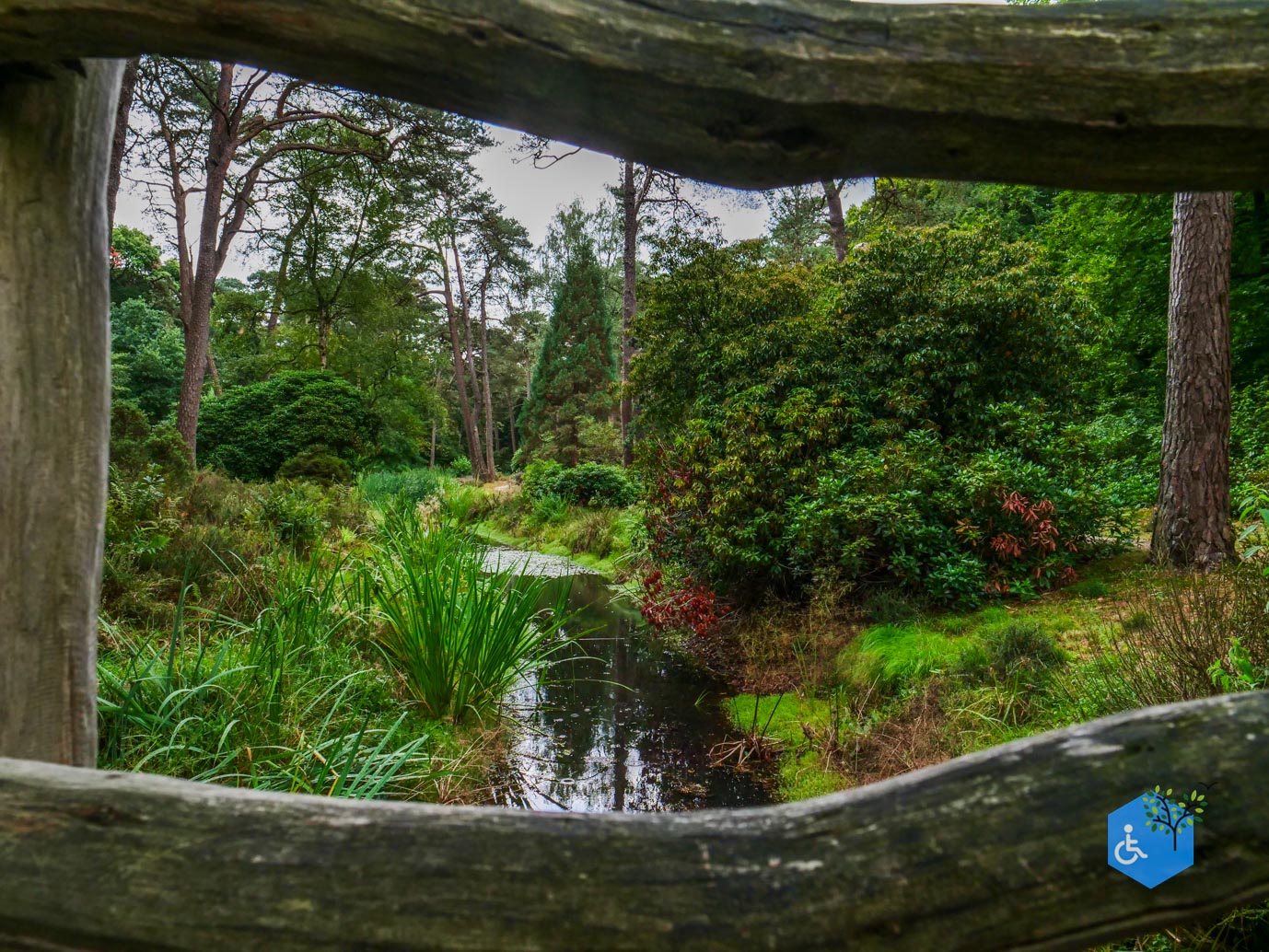 Driebergen_Heidetuin_11-09-2025-14