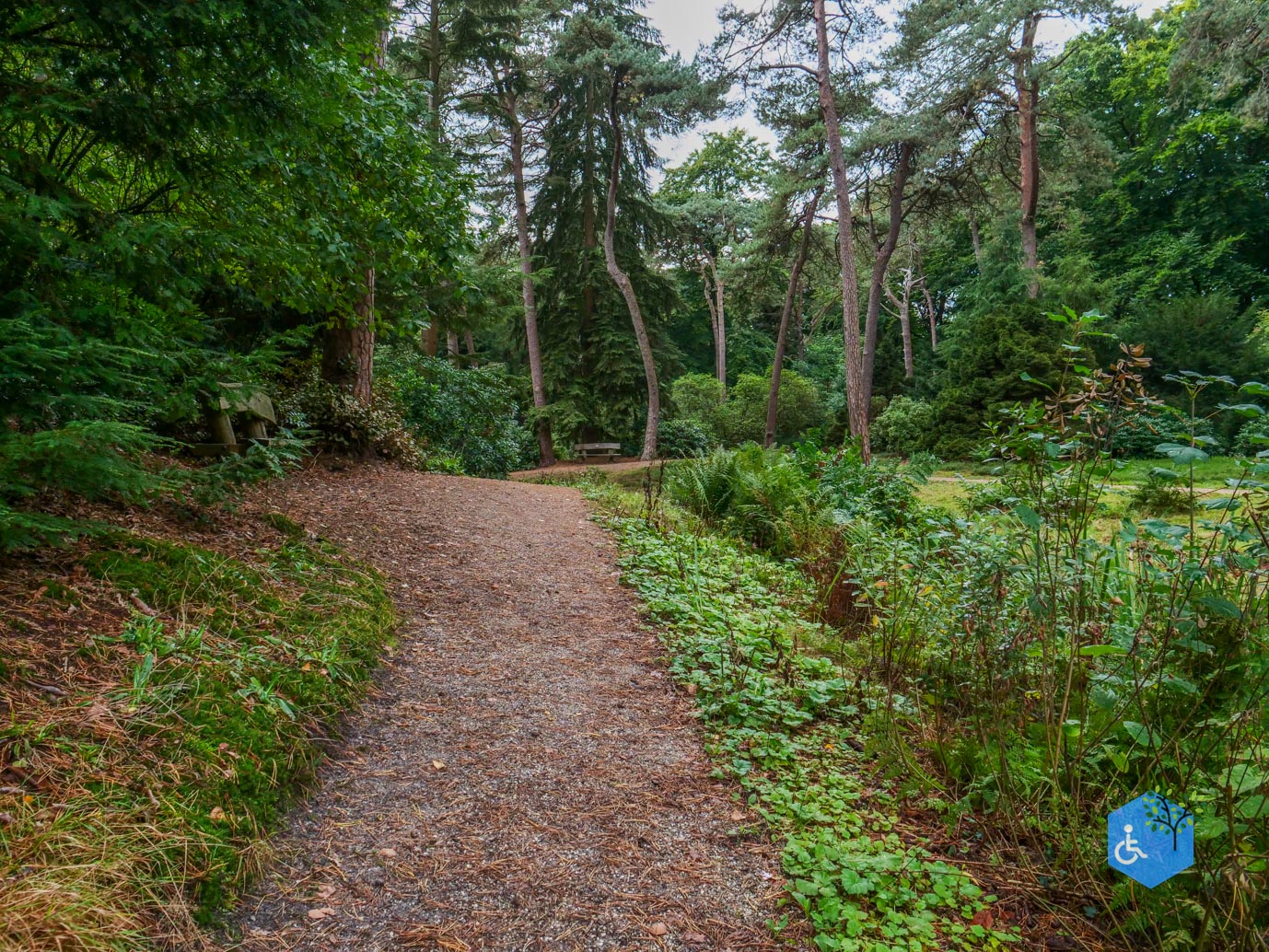 Driebergen_Heidetuin_11-09-2025-20