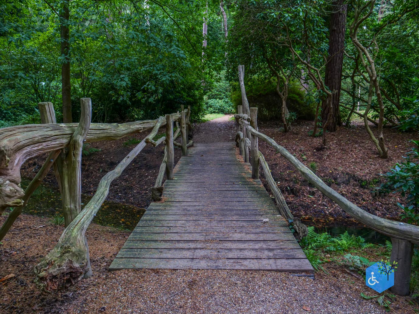 Driebergen_Heidetuin_11-09-2025-23