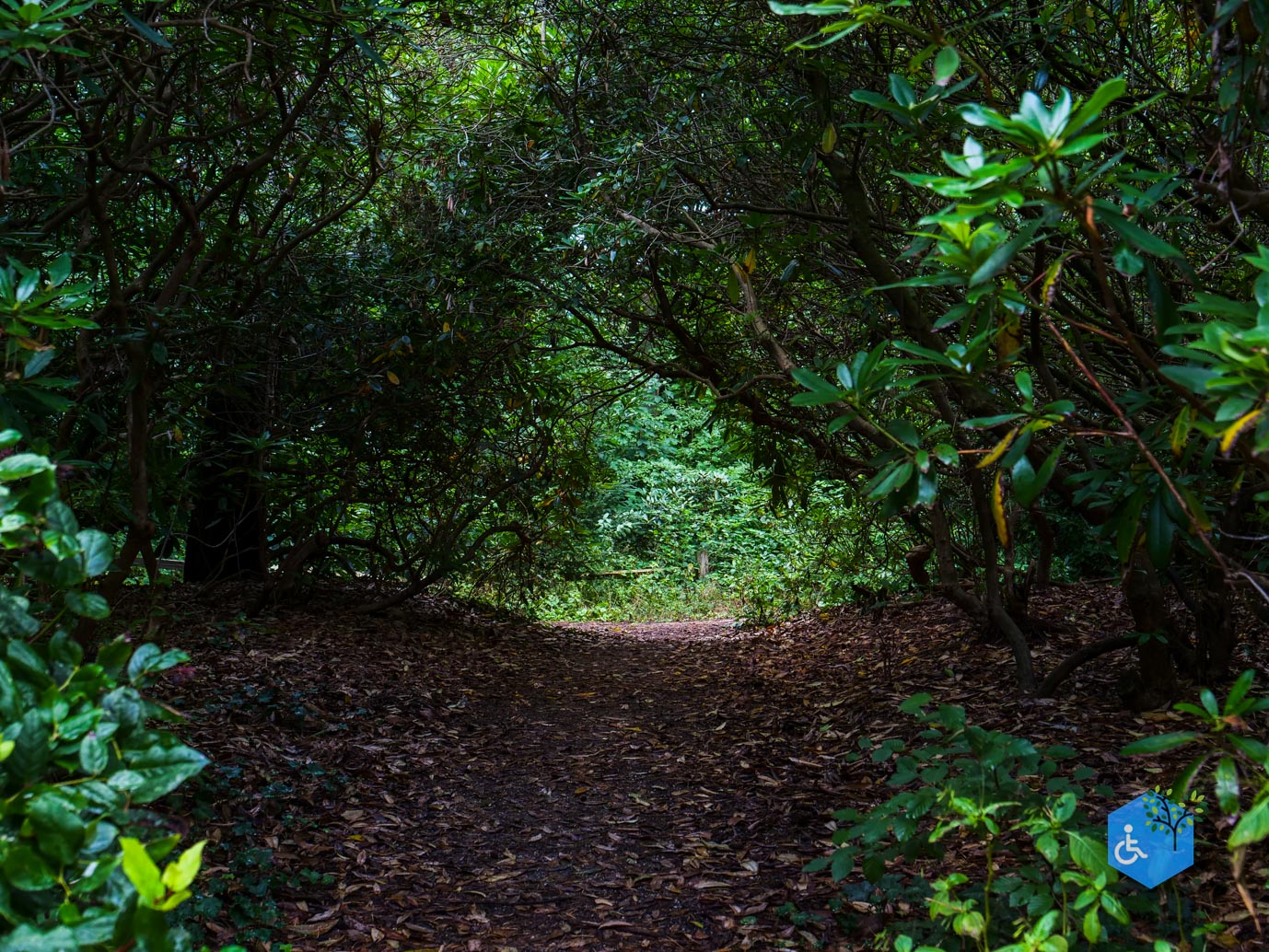 Driebergen_Heidetuin_11-09-2025-25