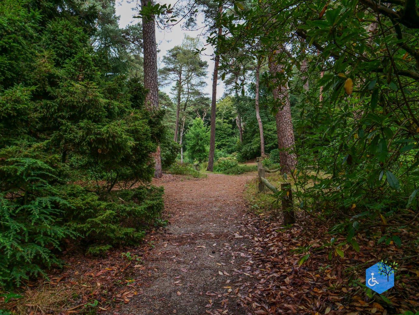 Driebergen_Heidetuin_11-09-2025-26
