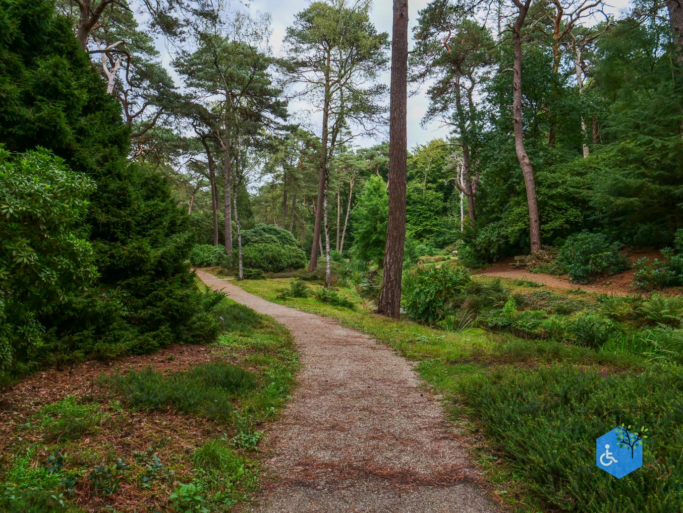 Driebergen_Heidetuin_11-09-2025-27