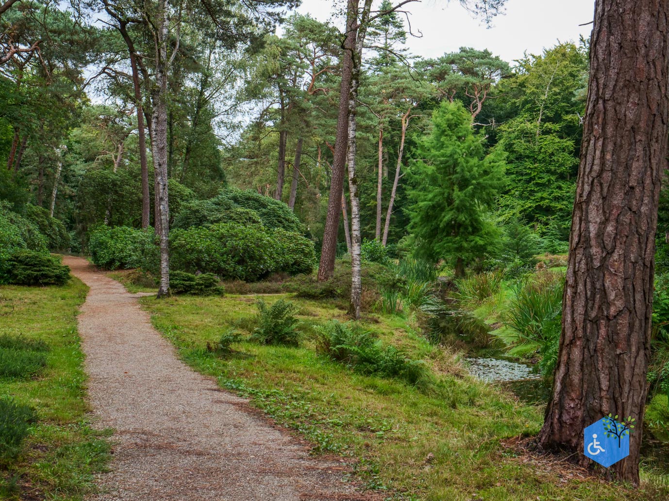 Driebergen_Heidetuin_11-09-2025-28