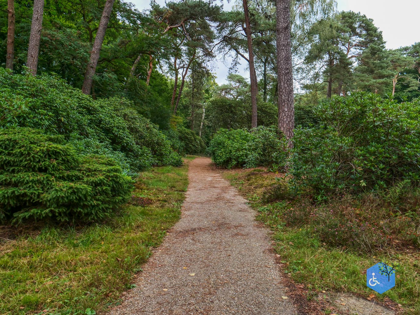 Driebergen_Heidetuin_11-09-2025-29