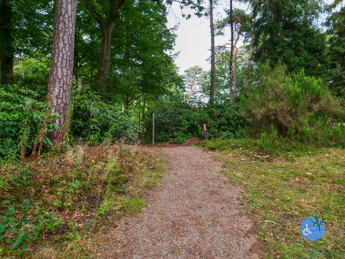 Driebergen_Heidetuin_11-09-2025-33