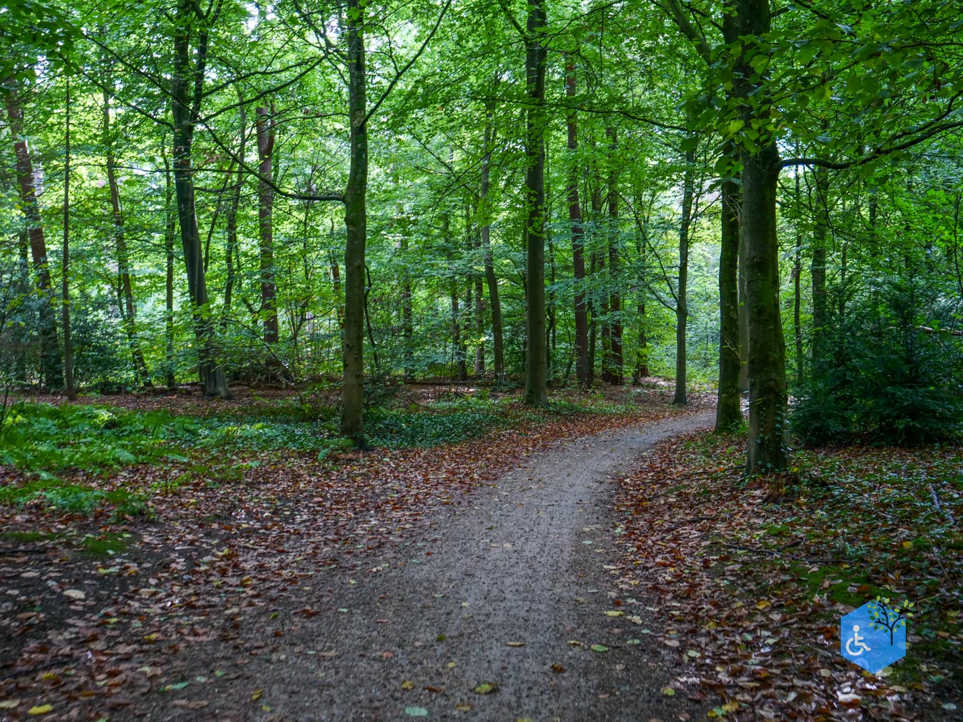 Driebergen_Heidetuin_11-09-2025-35