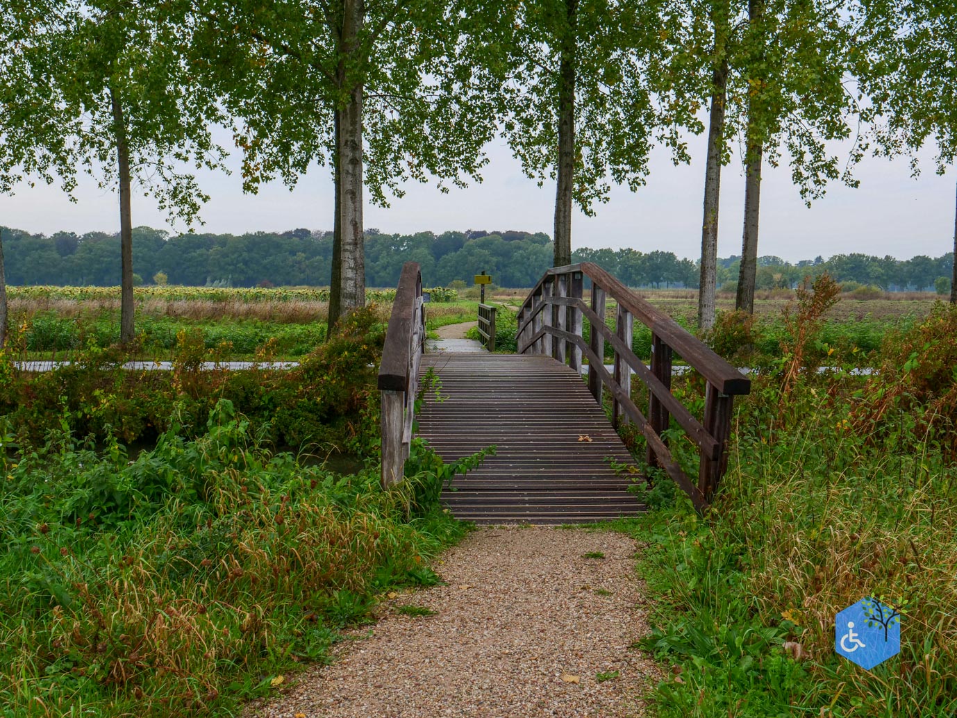 Haarzuilens_Historisch_Haarzuilens_20-09-2025-11