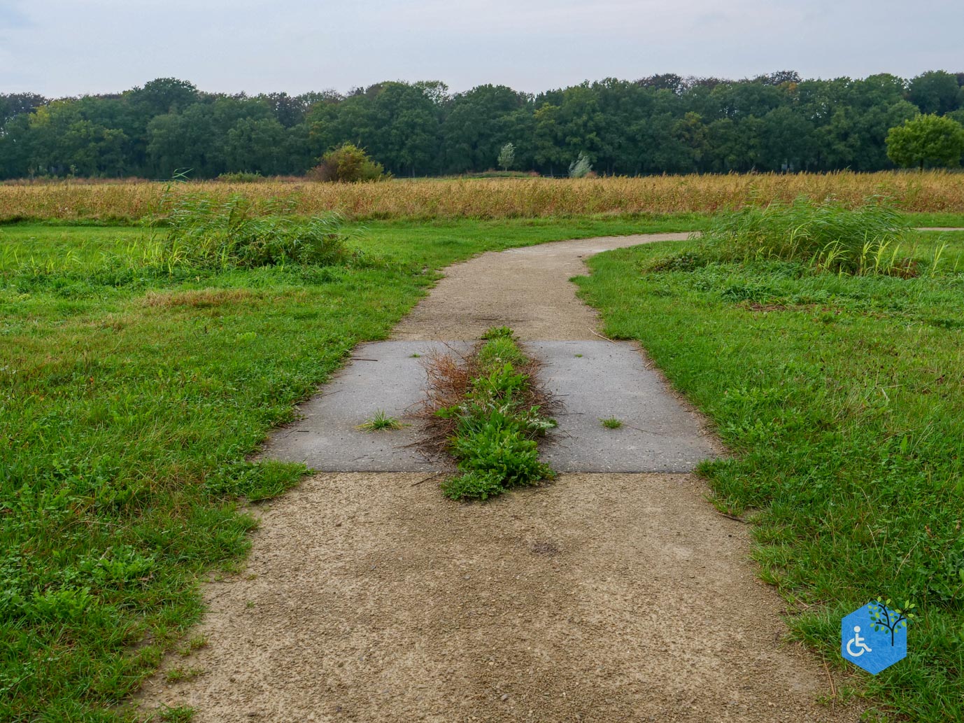 Haarzuilens_Historisch_Haarzuilens_20-09-2025-22