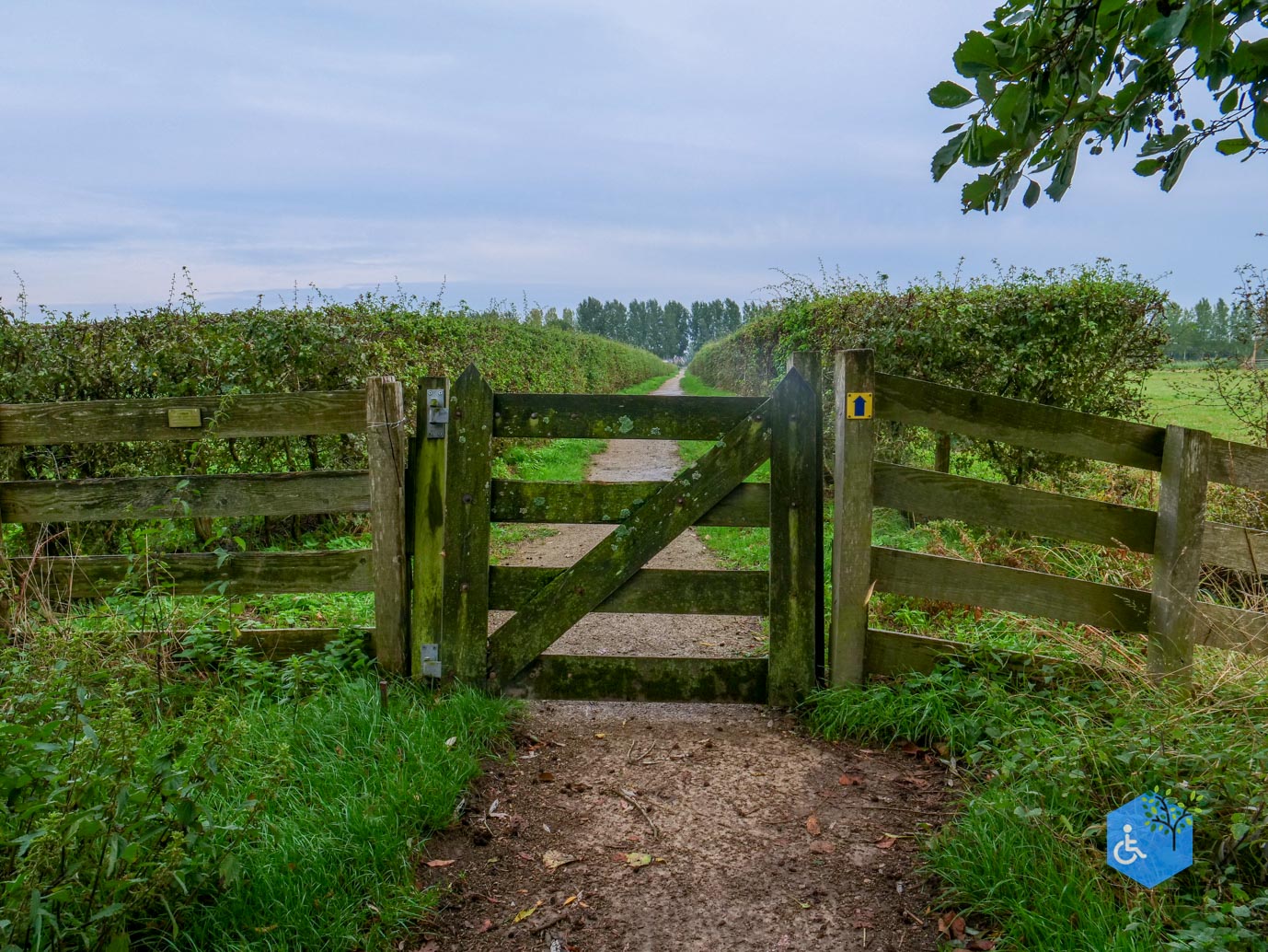 Haarzuilens_Historisch_Haarzuilens_20-09-2025-33