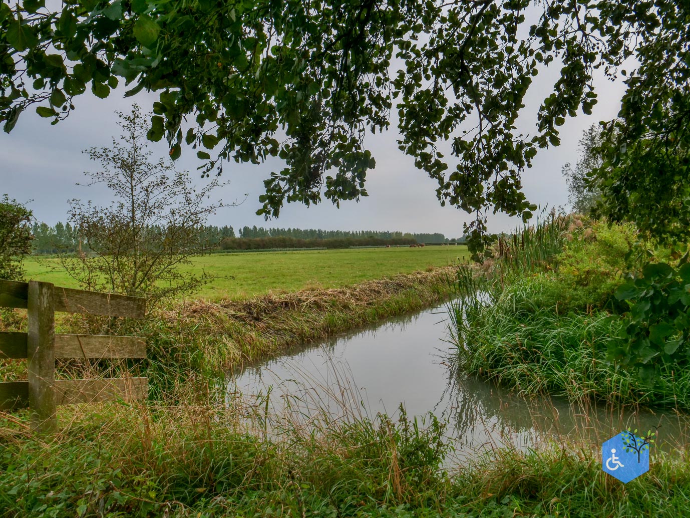 Haarzuilens_Historisch_Haarzuilens_20-09-2025-34