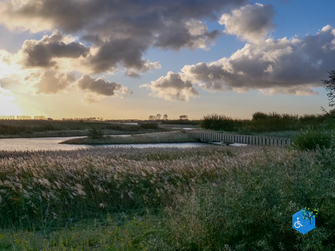 Breskens_Waterdunen_24-10-2025-052